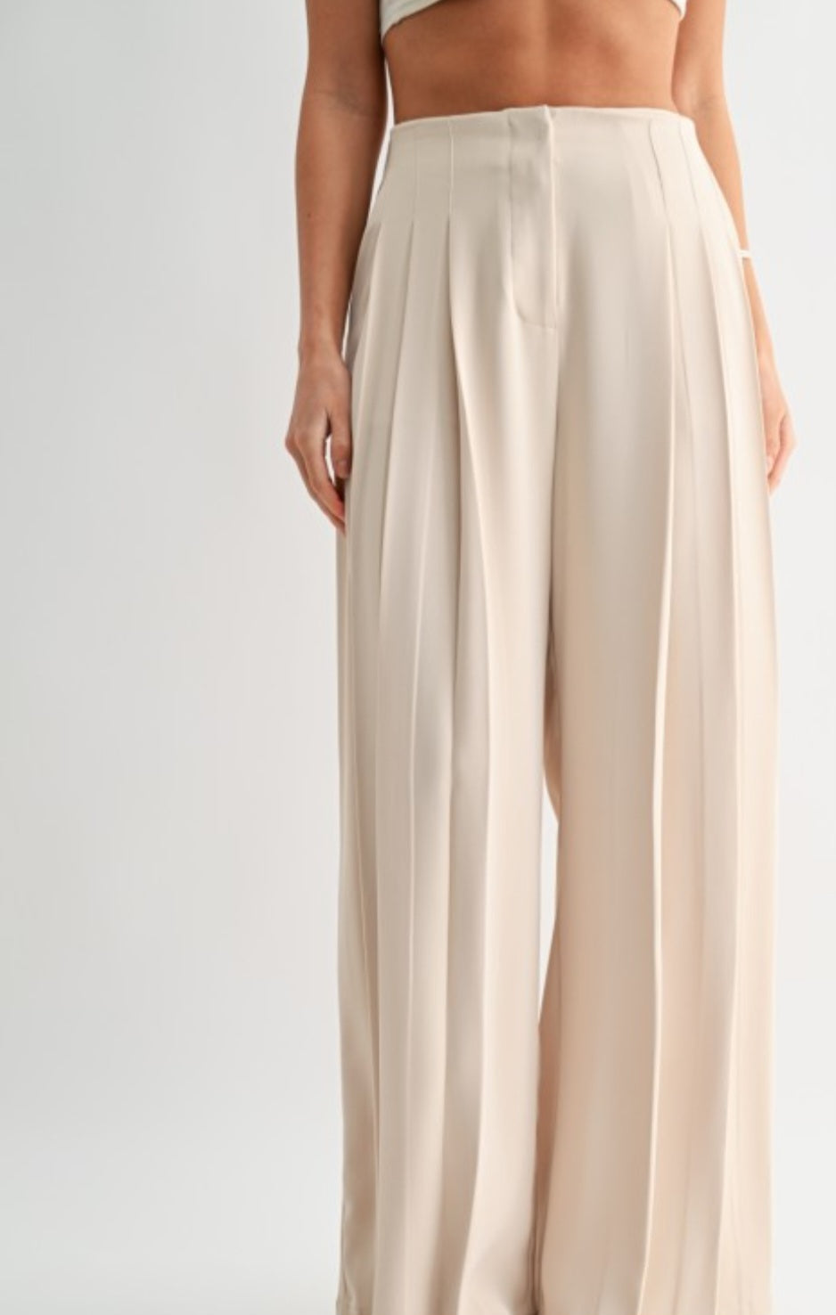 Beige wide-leg pants worn by a person on a white background
