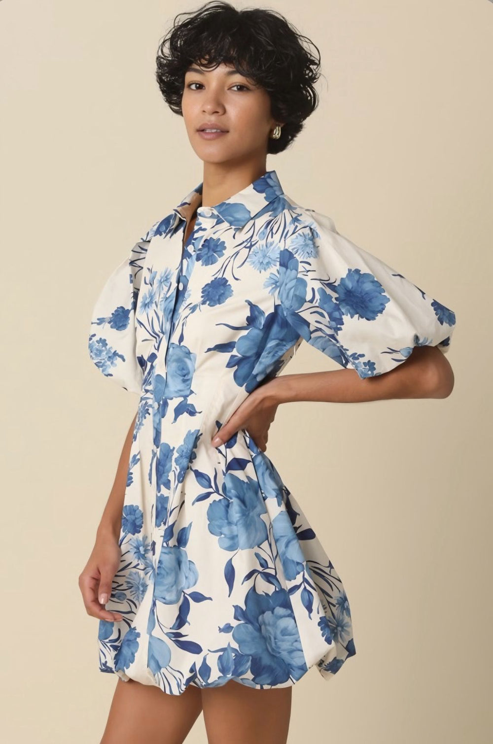 Blue Floral Puff Sleeve Dress