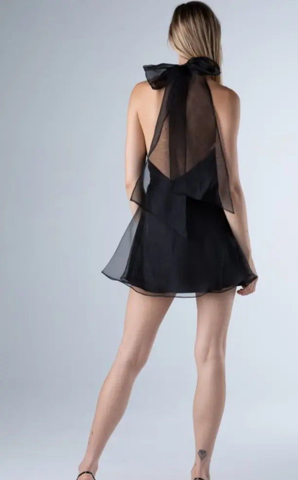 Black Organza Mini Dress