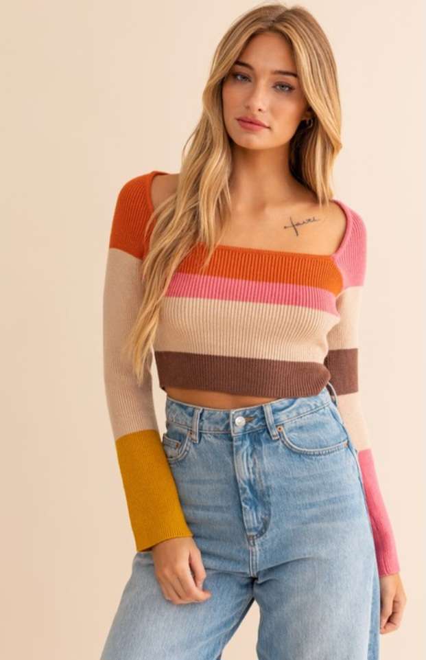 Rust Color Block Stripe Knit Crop Top