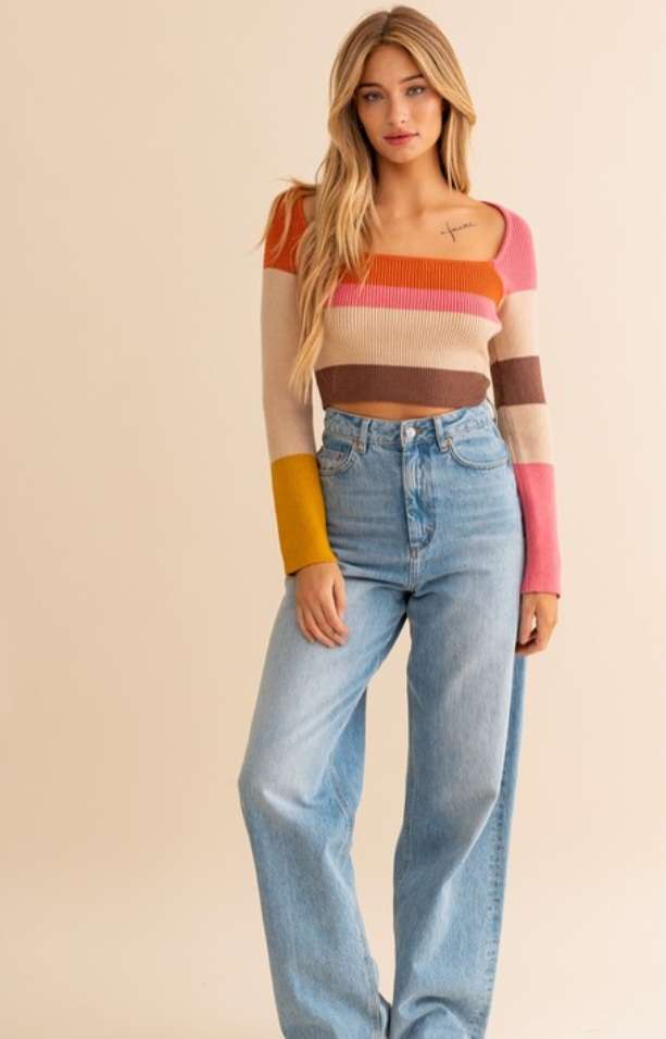 Rust Color Block Stripe Knit Crop Top