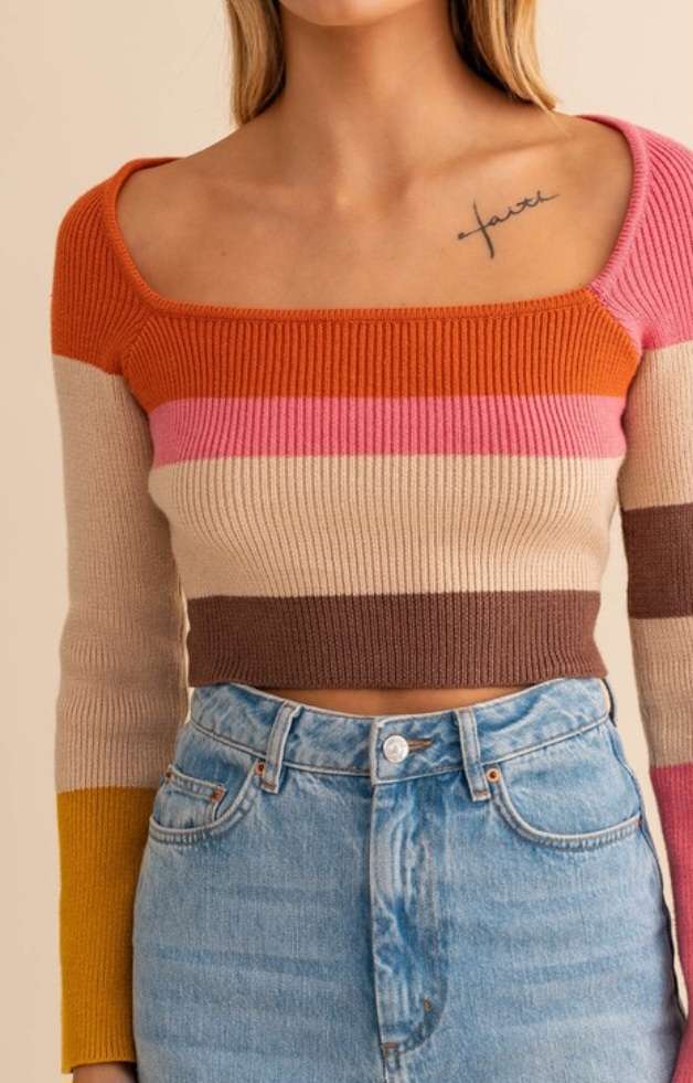 Rust Color Block Stripe Knit Crop Top