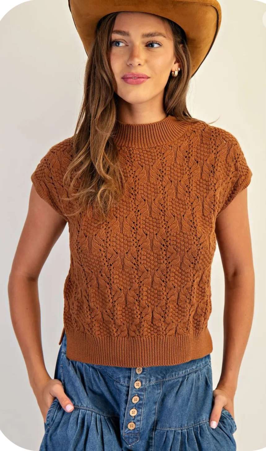 Brown sleeveless sweater featuring a mock neck and soft knit fabric