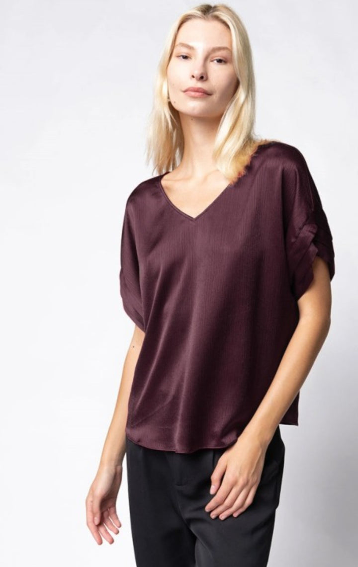 Wine V Neck Top