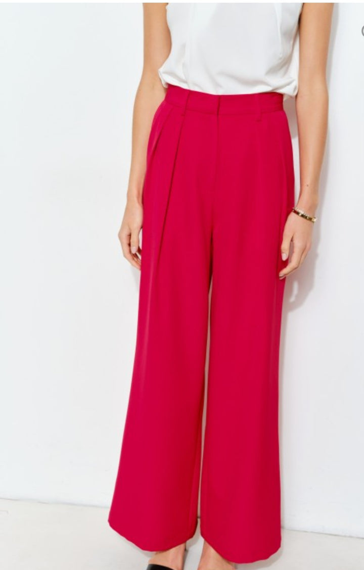 Red Pleated Pants