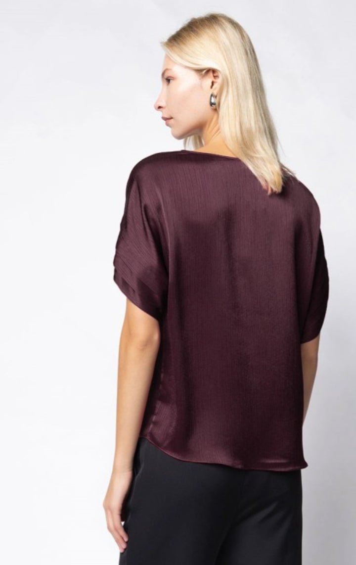 Wine V Neck Top